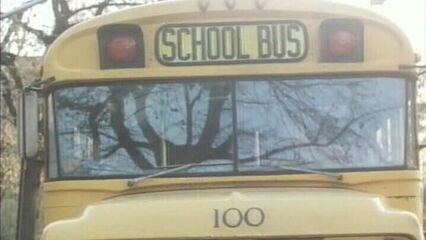 Ретро порно фильм: Молодые, Дикие и Прекрасные (1980)