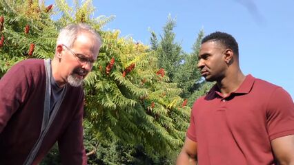 Моя жена хочет трахнуться в анал на моих глазах с черным